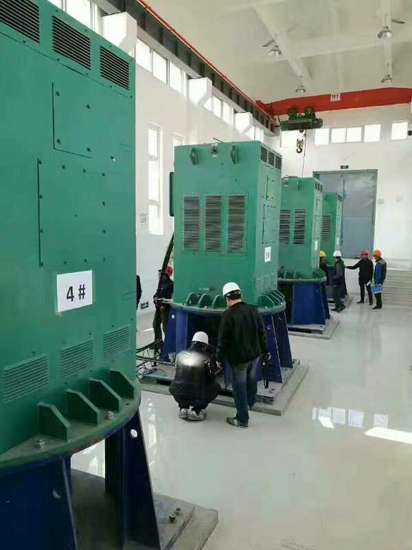 YKK4004-6某污水处理厂使用我厂的立式高压电机安装现场