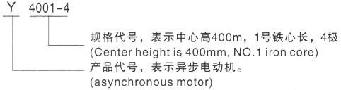 西安泰富西玛Y系列(H355-1000)高压YKK4004-6三相异步电机型号说明